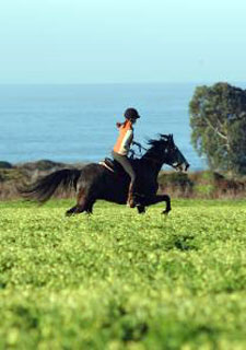 USA-California-Costanoa Coast Getaway